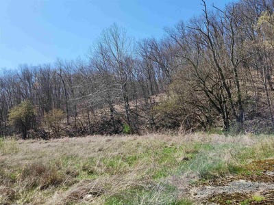 /international/us/3796-beverly-pike-elkins-wv-110098845069/