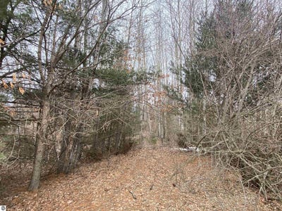 /international/us/lot-33-scenic-hills-drive-williamsburg-mi-110096888591/?lang=en