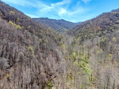 /international/us/martin-creek-rd-naoma-wv-110107313512/