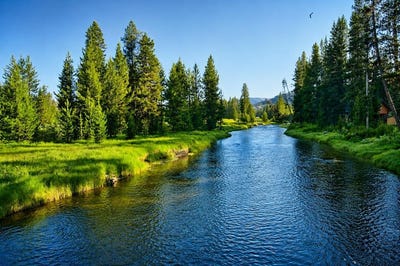 /international/us/secesh-river-road-secesh-id-110108107913/