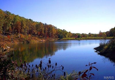 /international/us/0-off-wayne-349a-piedmont-mo-110098295571/