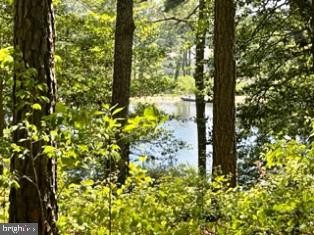 /international/us/lots-26-and-27-olde-mill-lane-new-church-va-110093262205/?lang=zh-tw