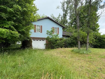 /international/us/60-deer-creek-drive-canvas-wv-110108394486/