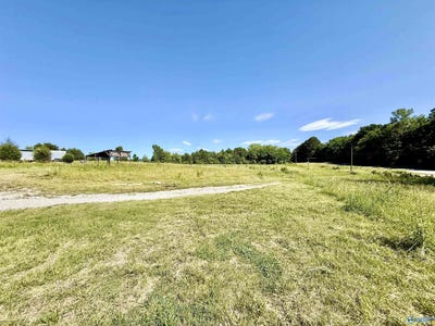 /international/us/6-63-acres-highway-117-stevenson-al-110100820910/