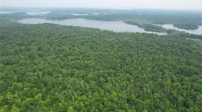/international/us/parcel-b-ticonderoga-trail-hackensack-mn-110098149733/?lang=zh-tw