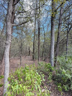 /international/us/hanauma-bastrop-tx-110120489117/