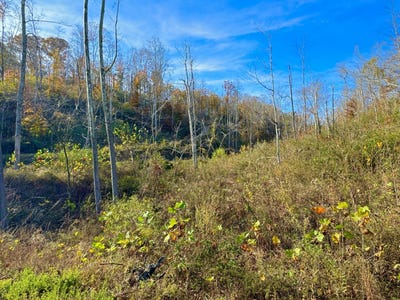 /international/us/9108-south-ky-501-highway-liberty-ky-110095891867/