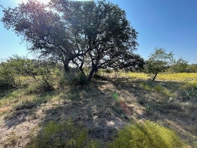 /international/us/tbd-cr-204-richland-springs-tx-110095438212/