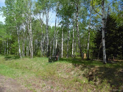 /international/us/michigan-avenue-white-pine-mi-110105520242/