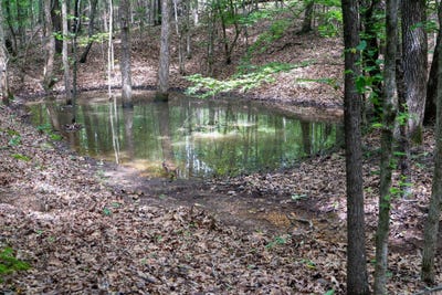 /international/us/bay-lane-harrisburg-ar-110108678823/
