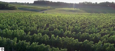 /international/us/56-s-french-road-lake-leelanau-mi-110105639469/