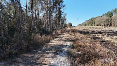 /international/us/radcliff-road-lot-23-saraland-al-110105091737/