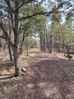 /international/us/zola-road-lakeside-az-110086497406/