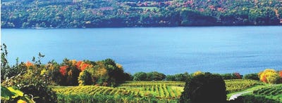 /international/us/4966-state-route-414-burdett-ny-110106983288/