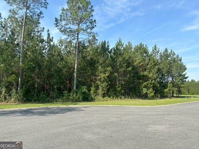 /international/us/102-oxbow-kingsland-ga-110100765417/?lang=zh-tw