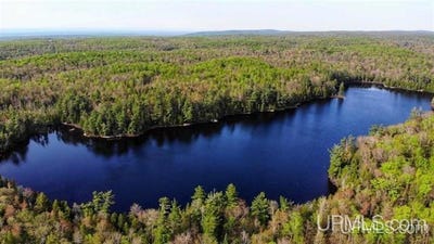 /international/us/durchman-lake-road-l-anse-mi-110083976774/