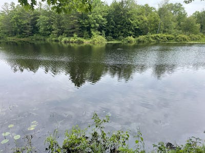 /international/us/0-hartland-avenue-pittsfield-me-110100813181/