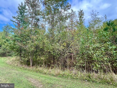 /international/us/159-boothhaven-lane-owings-md-110100581363/?lang=zh-cn