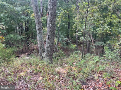 /international/us/panorama-view-lot-41-stanley-va-110102648992/
