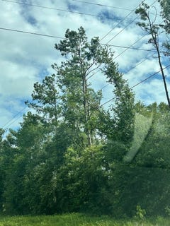/international/us/9528-us-hwy-19-perry-fl-110101125717/?lang=zh-tw