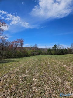 /international/us/13-5-acres-county-road-687-henagar-al-110096853492/?lang=zh-tw