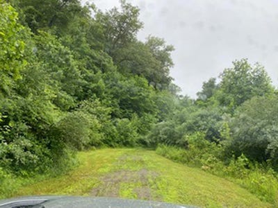 /international/us/00-jennys-fork-lot-5-map-048-00-00-008-00-pikeville-ky-110069507588/?lang=it