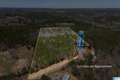 /international/us/16082-house-road-brookwood-al-110098261409/?lang=zh-cn