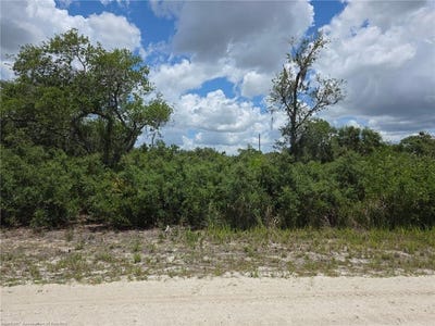 /international/us/2052-w-lowen-road-avon-park-fl-110109006733/