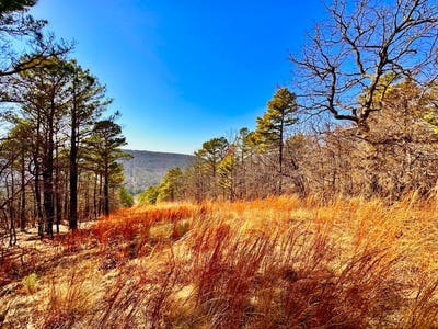 /international/us/206-acres-d1345-rd-red-oak-ok-110106281848/