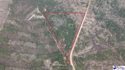 /international/us/1161-clyde-school-road-hartsville-sc-110108333376/