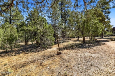 /international/us/5039-winter-hawk-court-lakeside-az-110110258694/