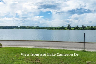 /international/us/316-lake-cameron-drive-pike-road-al-110101019790/