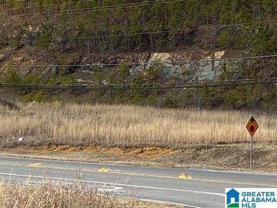 /international/us/county-road-280-chelsea-al-110082712461/