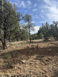 /international/us/1522-foxtail-lane-heber-az-110109243535/