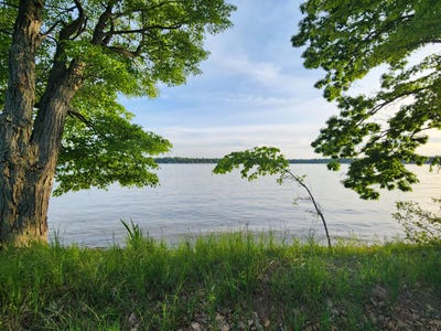 /international/us/11156-n-shore-drive-lake-mi-110092358658/
