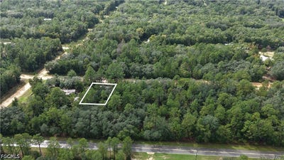 /international/us/604-del-monaco-ave-interlachen-fl-110120517902/