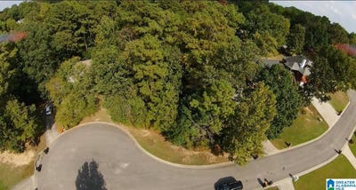 /international/us/5737-acorn-lane-lot-58-mount-olive-al-110087430318/