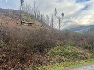 /international/us/evergreen-ln-idleyldpark-or-110105869731/