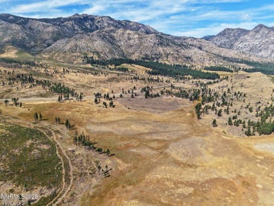 /international/us/apn-047-state-route-89-markleeville-ca-110103804867/