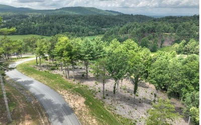 /international/us/lot-222-ridge-drive-morganton-ga-110104429860/