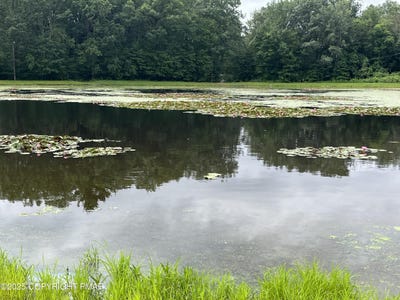 /international/us/lot-e-25-e-pleasant-view-drive-kunkletown-pa-110097000437/?lang=zh-tw