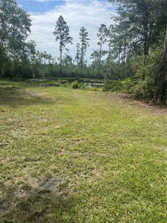 /international/us/11226-clarence-bennett-road-sanderson-fl-110101540240/