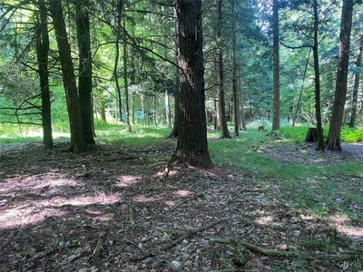 /international/us/state-route-244-belmont-ny-110101985511/