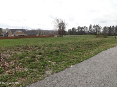 /international/us/112-auggie-belle-lane-speedwell-tn-110106301635/