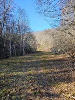 /international/us/lick-fork-road-sandy-hook-ky-110106260554/