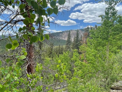 /international/us/847-county-road-787-alma-co-110100585572/