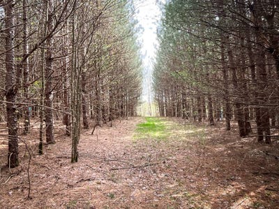 /international/us/wp-001-0-west-creek-rd-richford-ny-110099672341/?lang=zh-cn