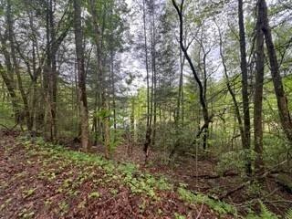 /international/us/lot-153-bear-den-trl-grandview-tn-110099139923/