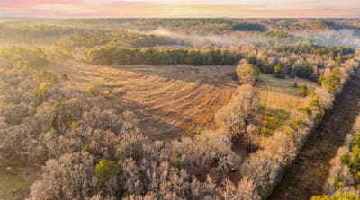 /international/us/1454-county-road-1128-acres-troy-al-110105410487/