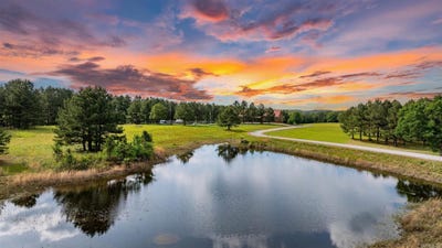 /international/us/203-spring-road-searcy-ar-110108413771/
